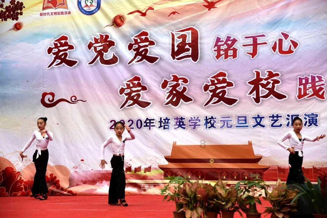 变异动物之战